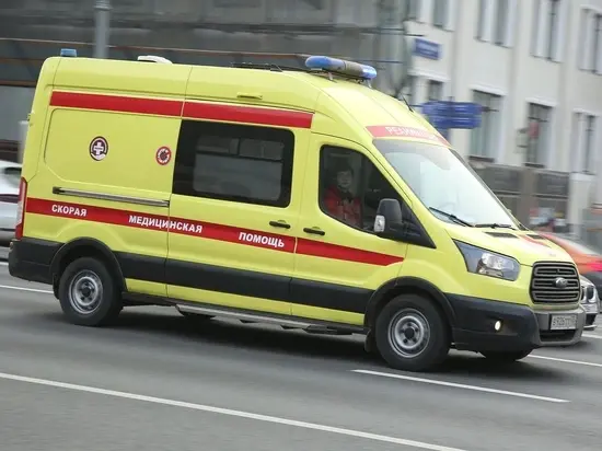 Свинцовые мерзости дикой киргизской жизни из Щелково.