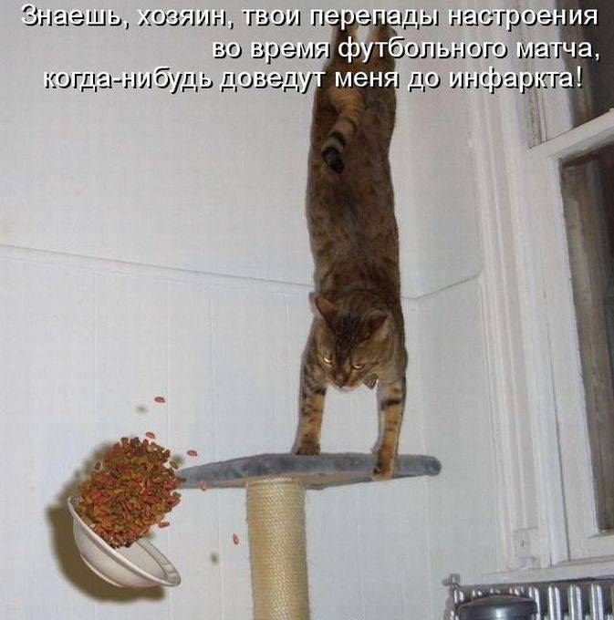 Сложно улыбаться, когда кажется, что весь мир сошел с ума...