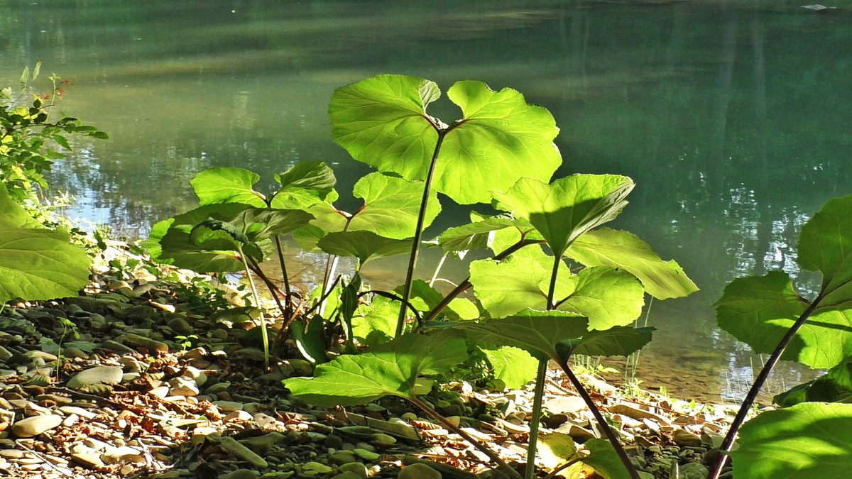 Остров на котором мне реально удалось расслабиться