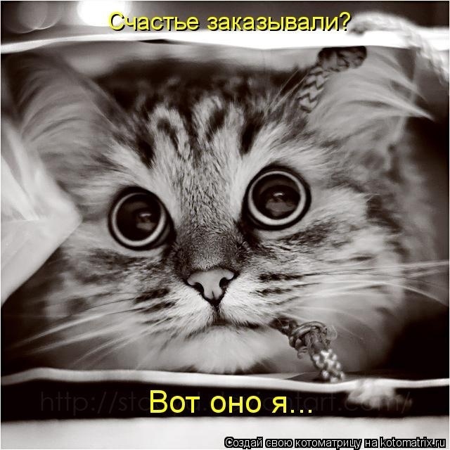 Говорят, что любовь и счастье нельзя потрогать руками...