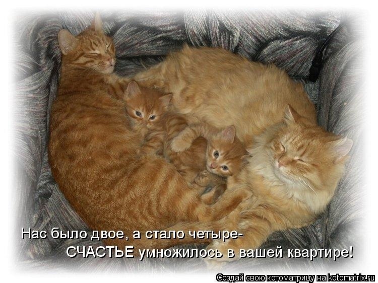 Говорят, что любовь и счастье нельзя потрогать руками...