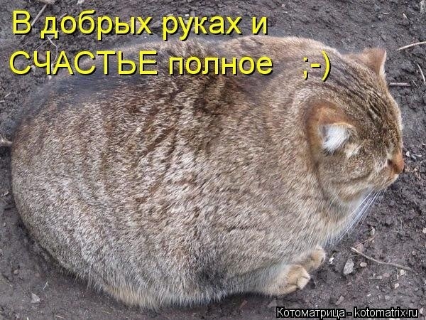 Говорят, что любовь и счастье нельзя потрогать руками...