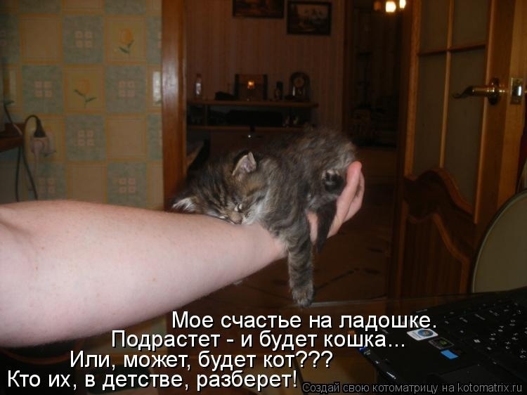 Говорят, что любовь и счастье нельзя потрогать руками...