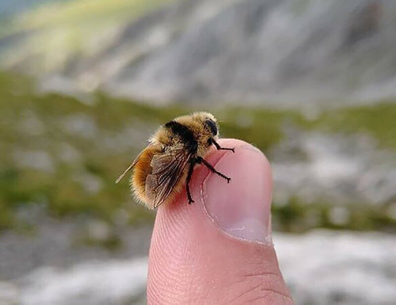 Обман для '"приезжих'' и ''отдыхающих''