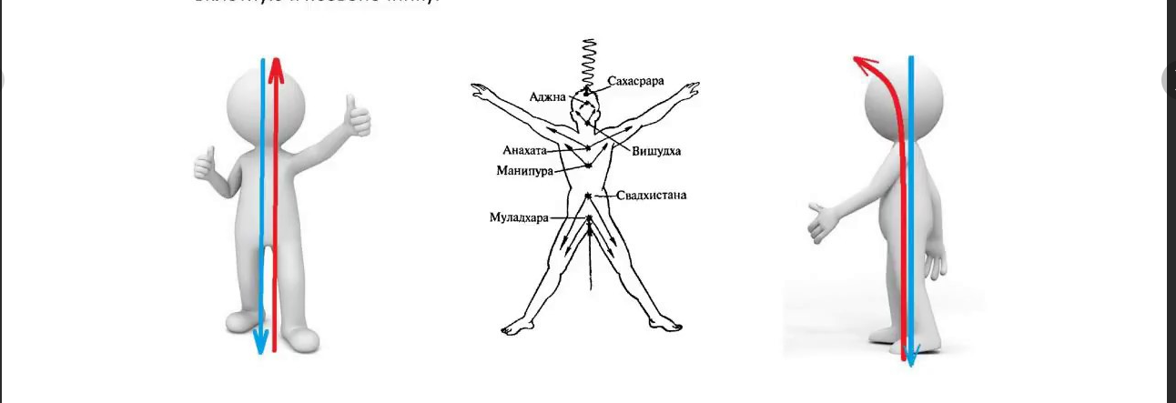 Представьте себе, что из самого центра вашего тела выходят две горизонтальные противоположные стрелки: одна направлена вперед, другая назад.