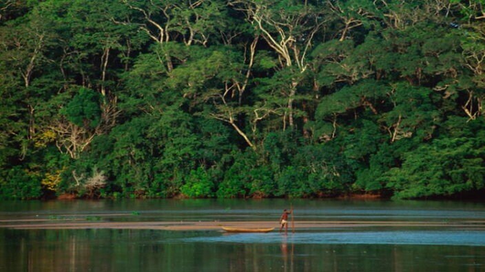 Река Конго протекает через сухие степи, густые тропические леса и мимо крупных городов. Ручей питает огромные тропические джунгли.
