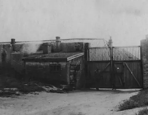 История колонии ЧЕРНЫЙ ДЕЛЬФИН, расписание и быт.