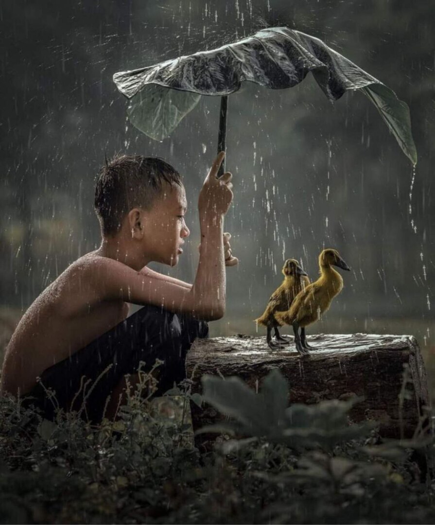 Думаю и записываю мысли (часть вторая)