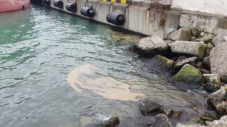 Обман для '"приезжих'' и ''отдыхающих''