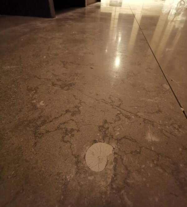 Удивительные и необычные факты и явления в природе.