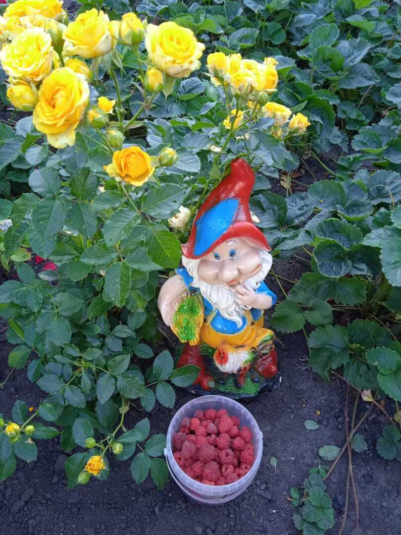 Преображение моей дачи: как из шести соток создать райский плодоносящий сад и цветущий уголок, делюсь своим опытом.