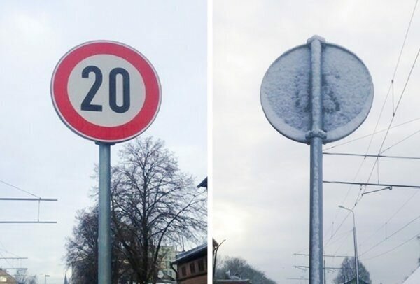 Удивительные и необычные факты и явления в природе.