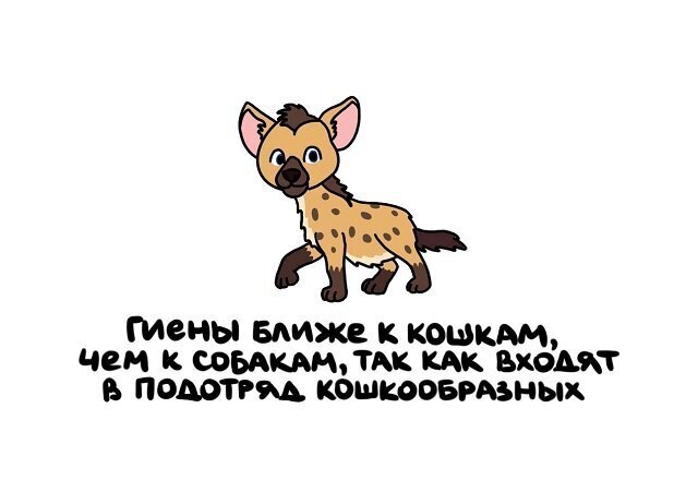 Разные интересные факты на все случаи жизни