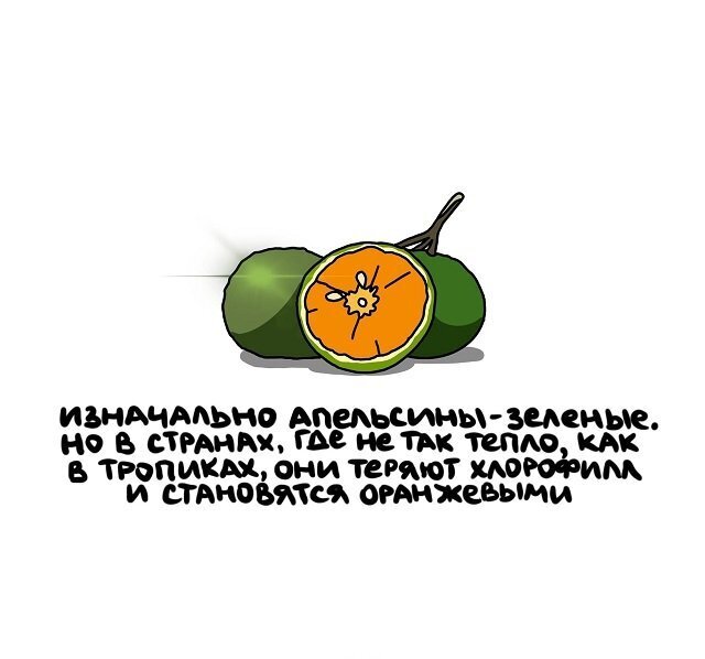 Разные интересные факты на все случаи жизни