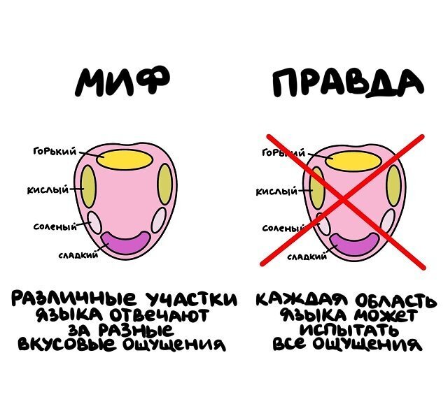 Разные интересные факты на все случаи жизни