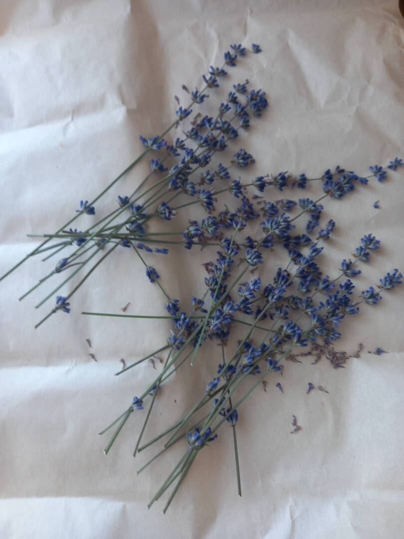 "Собственник доли в торговом центре - знай свои права!"