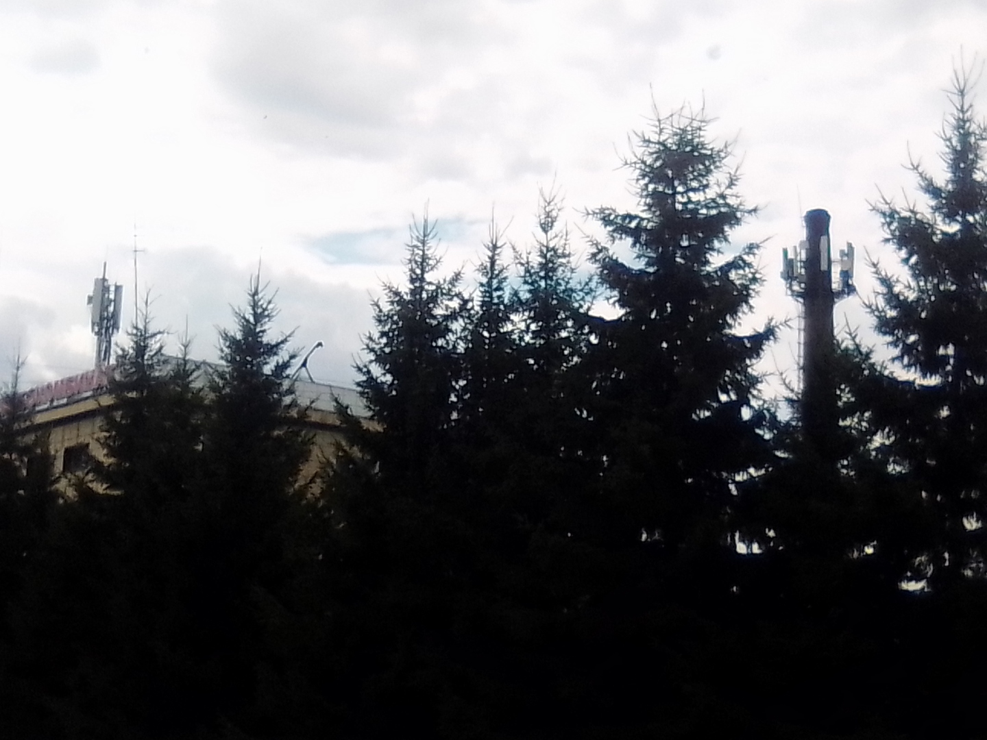 Электронный концлагерь на подходе