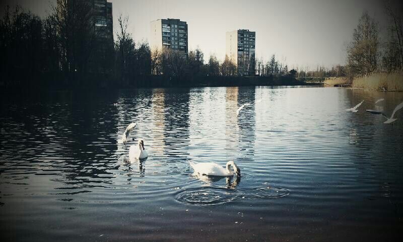 Поворотный 1988 год в моей жизни в эпоху грандиозных перемен. И Великие стихи Великих поэтов!