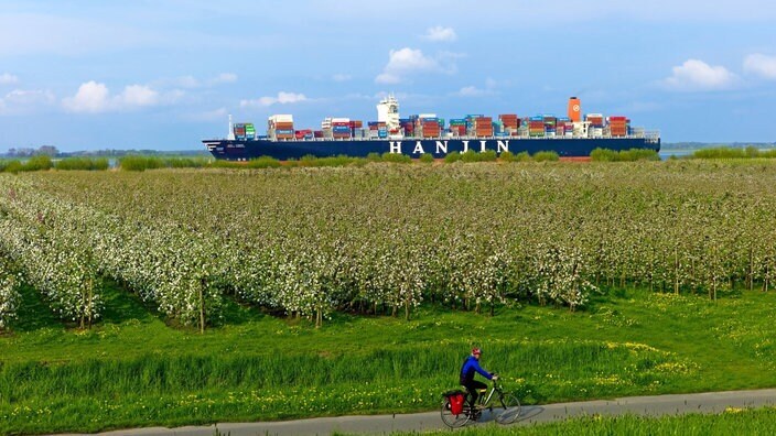 Фенология: учение о явлениях