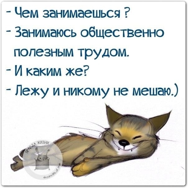 Господа, ваше веселье оскорбляет чувства паникующих!