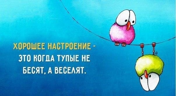 Господа, ваше веселье оскорбляет чувства паникующих!