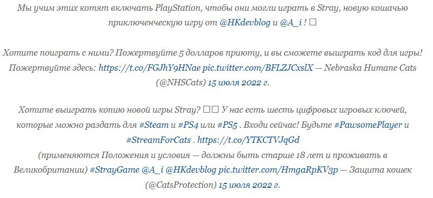 PS5, PS4 Stray помогает спасать жизни кошек