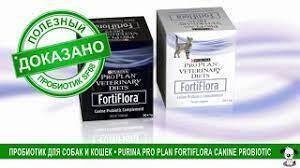 ФортиФлора - пробиотик для нормализации микрофлоры кишечника кошек и собак