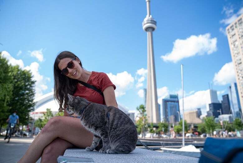 Руководство для начинающих по выгулу вашей кошки