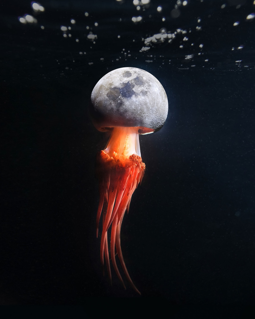 Изумительные работы Джастина Петерса