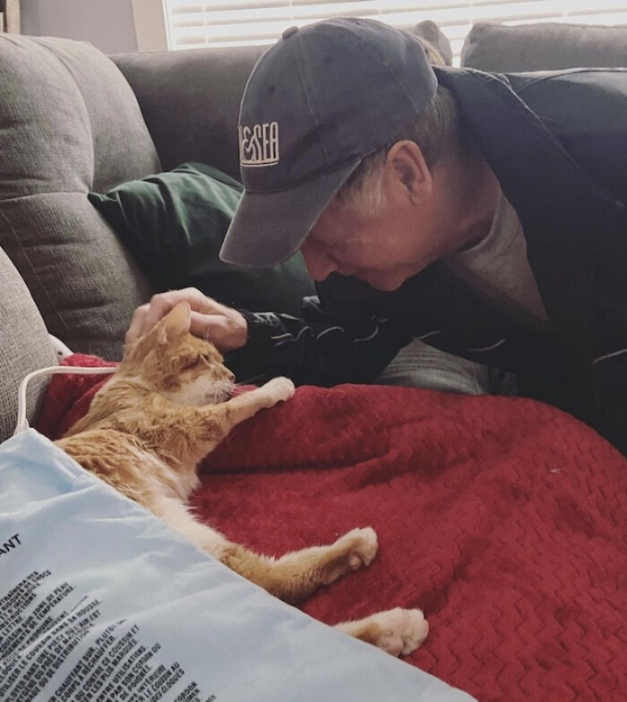 Трехлапый кот наконец-то нашел себе дом после долгих блужданий по улицам