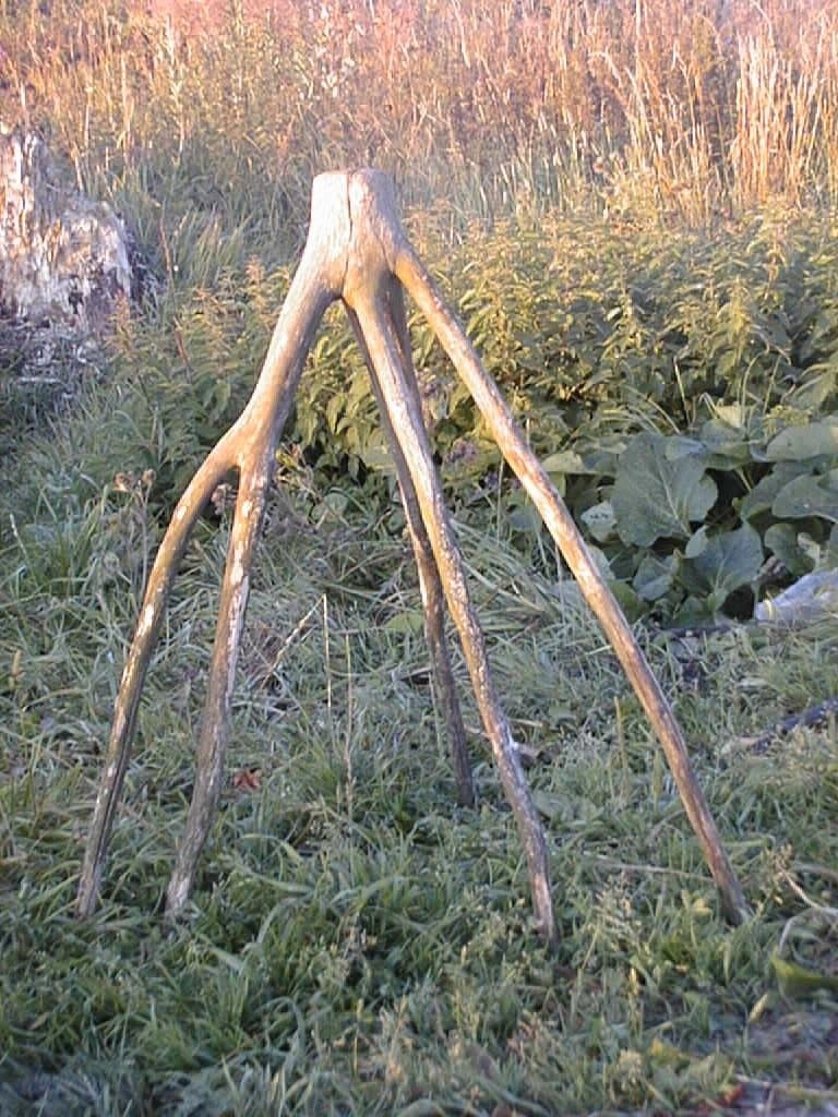 Путешествие к забытой Красоте