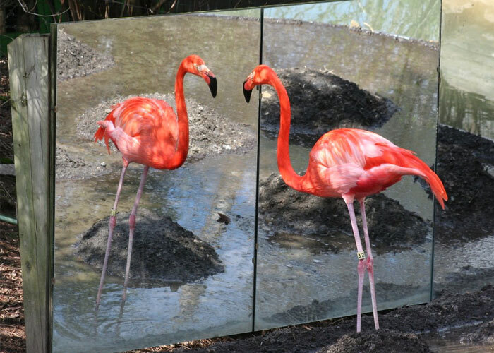 Факты, которые доказывают, что мир — это место, полное чудес 30 фактов :