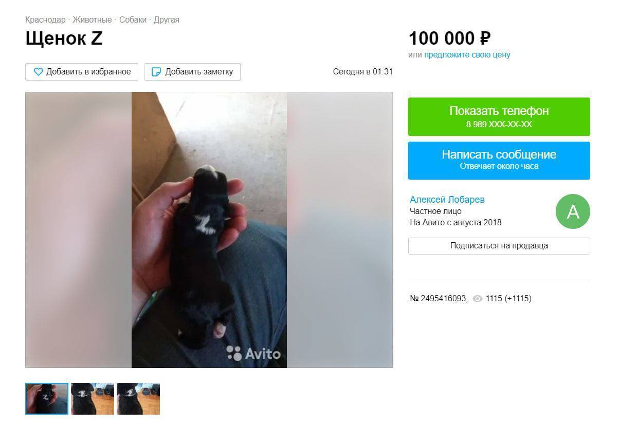 В России появились Z-щенки за 2 000 000 рублей