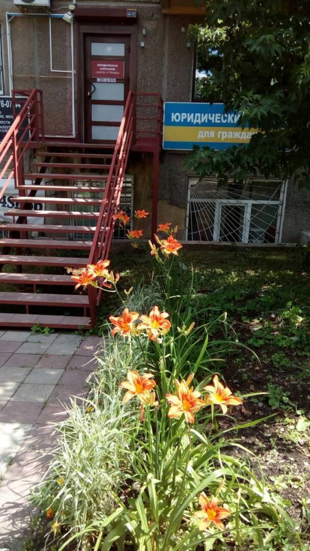 ПроЦветаем!