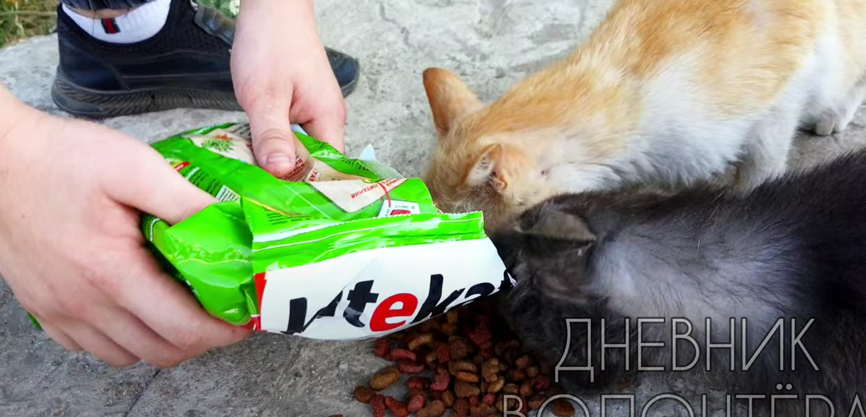 Ангелы Мариуполя, как, зачем, и почему люди становятся волонтерами, отзывы мариупольцев о помощи и о волонтерском движении Дневник Волонтера