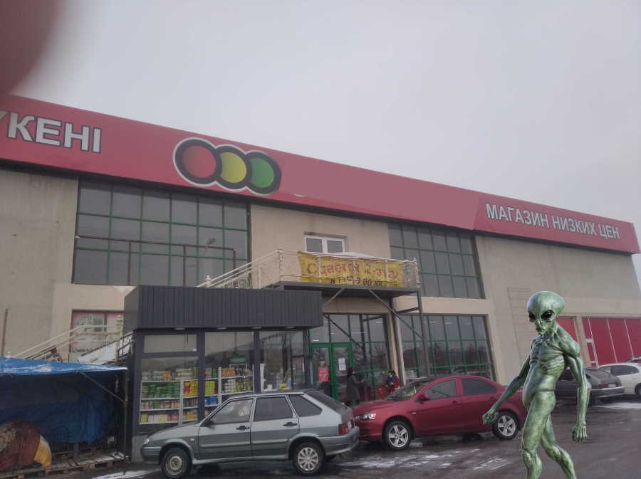 Серые Роиды - выходят из Тени. "Берегитесь Данайцев, дары приносящих".