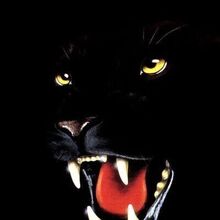 Светлана, г. Коломна