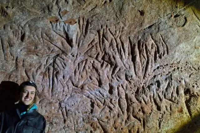 Эти туннели были вырыты гигантским наземным ленивцем, который жил 10 000 лет назад в Бразилии.