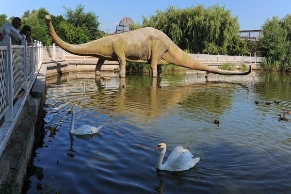 От слона до паука! Есть всё! Ростовскому зоопарку 95 лет. Увлекательное место для отдыха.