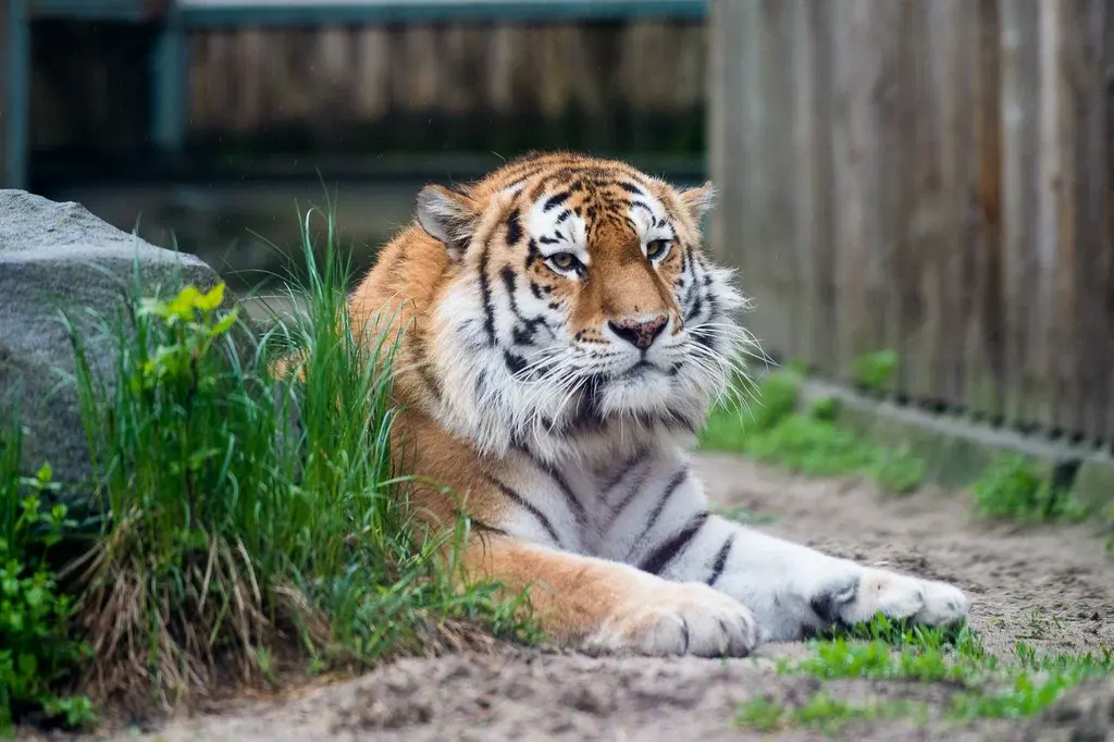 От слона до паука! Есть всё! Ростовскому зоопарку 95 лет. Увлекательное место для отдыха.