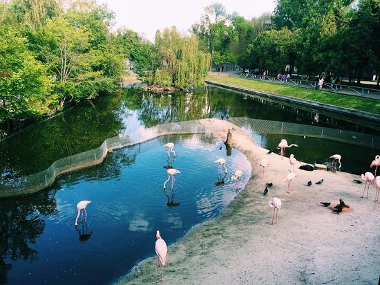 От слона до паука! Есть всё! Ростовскому зоопарку 95 лет. Увлекательное место для отдыха.