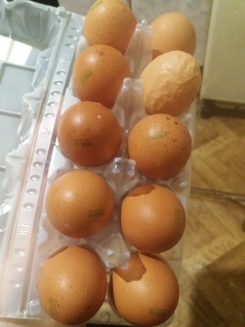 СЛЕПИЛИ ИЗ ТОГО ЧТО БЫЛО😁ИСТОРИЯ ОДНОГО ДЕСЯТКА КУРИННЫХ ЯИЦ