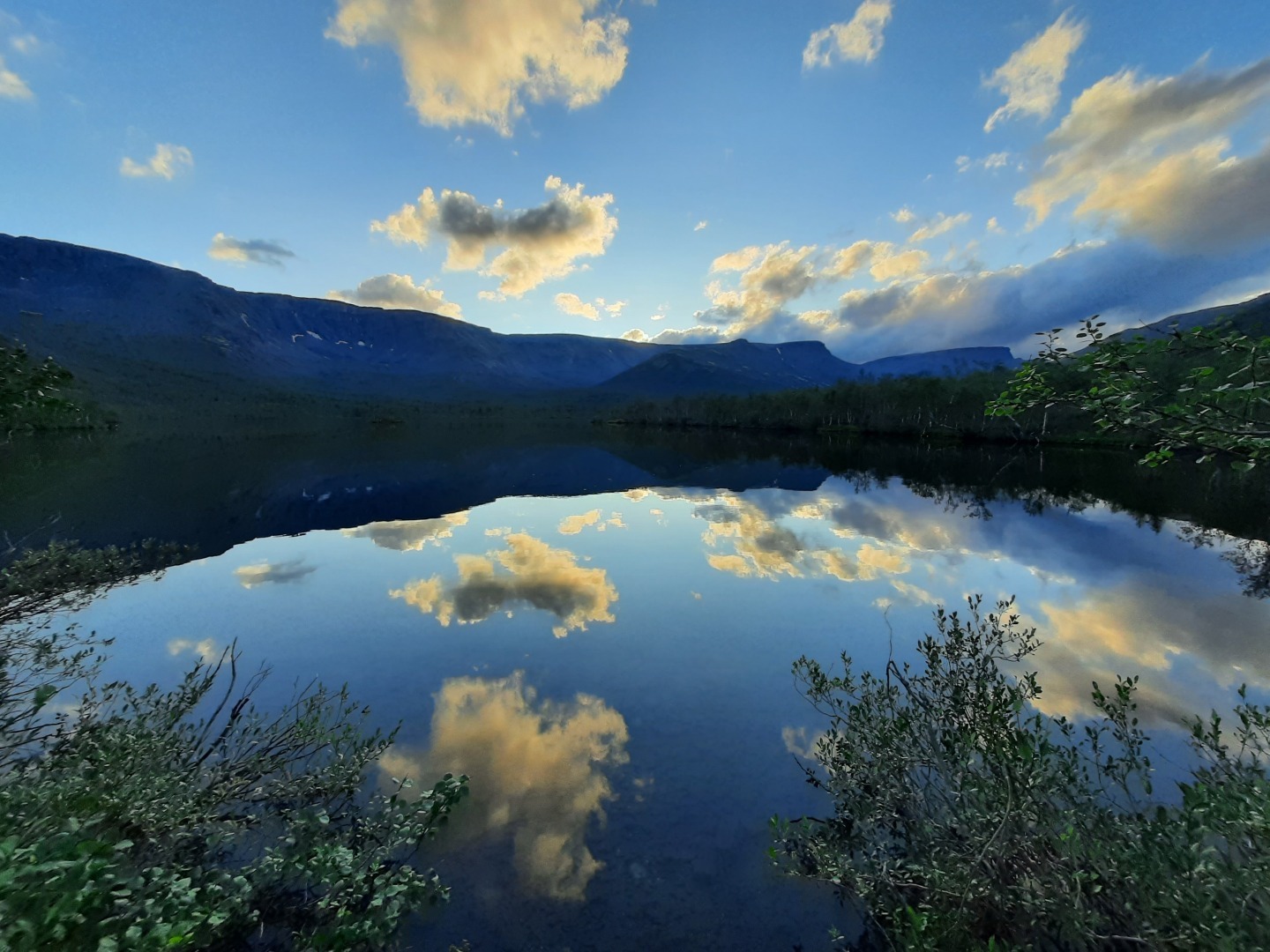 Все мечты в одном флаконе.