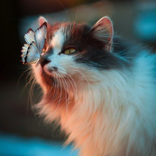 Я снова с вами