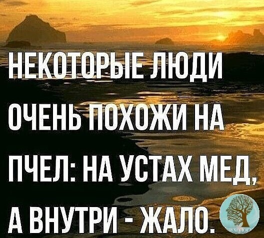 Согласны ли вы с этим высказыванием? Приведите примеры из жизни!