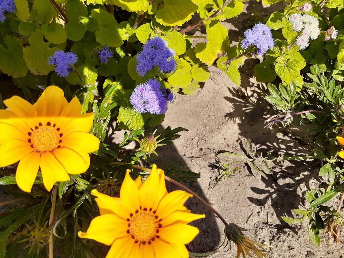 Природа и живой мир, отдохните глазами