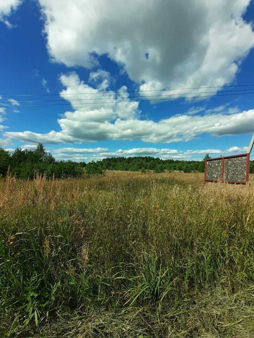 Природа и живой мир, отдохните глазами