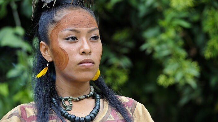 Многие мифы вращаются вокруг майя, которые когда–то владели самой развитой культурой на американских континентах, а затем, внезапно исчезли...