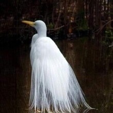 ХИЖКОВАЯ ЮЛИЯ, г. Джанкой