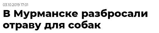 Про не умных и агрессивных владельцев собак. Как мужу с сыном предложили "одеть" поводок